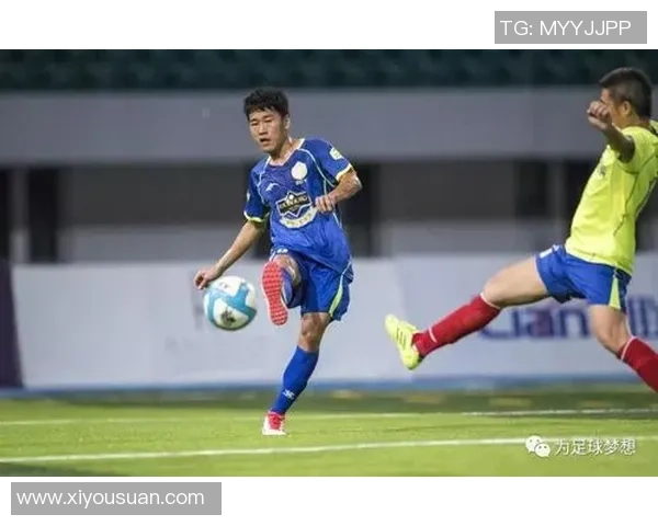 塞尔维亚足球巨星的辉煌征程与绿茵场上的传奇故事